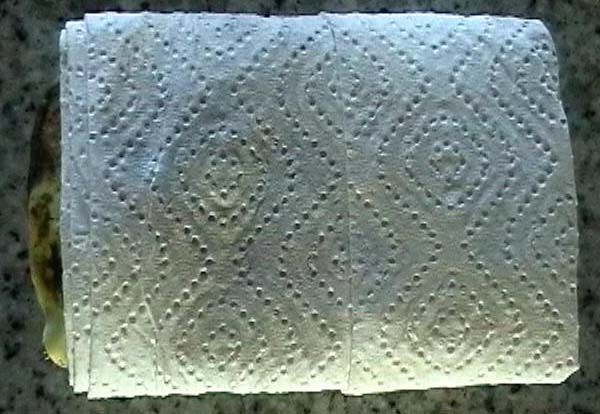germin_010.jpg