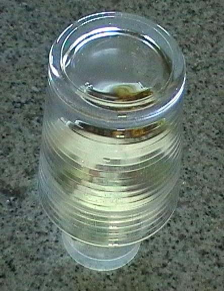 germin_014.jpg