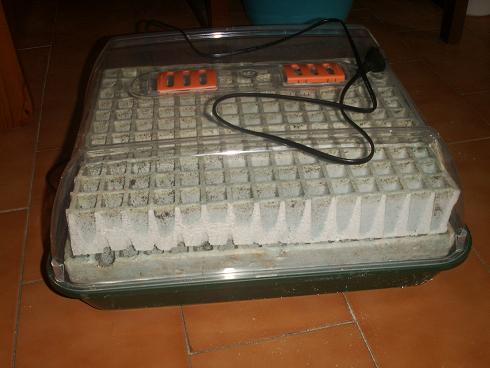 germinador2.JPG