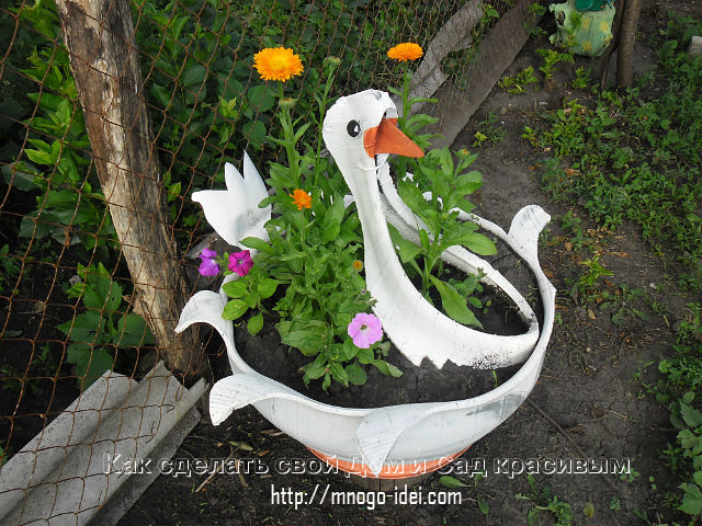 getImage-251.jpg