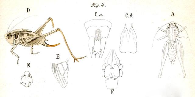GetThumb.aspx?ImageID=55052&Width=640.jpg