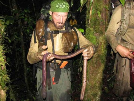 giant-earthworm-570x427.jpe