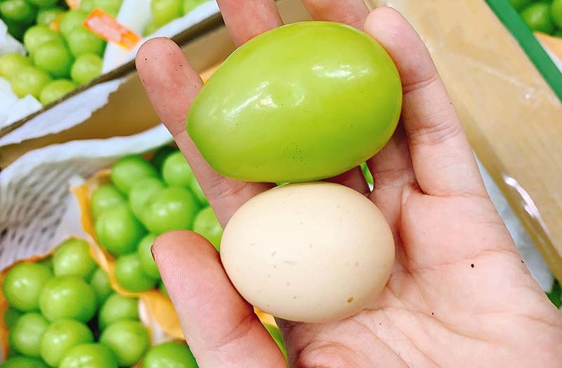 giant-grapes2.jpg