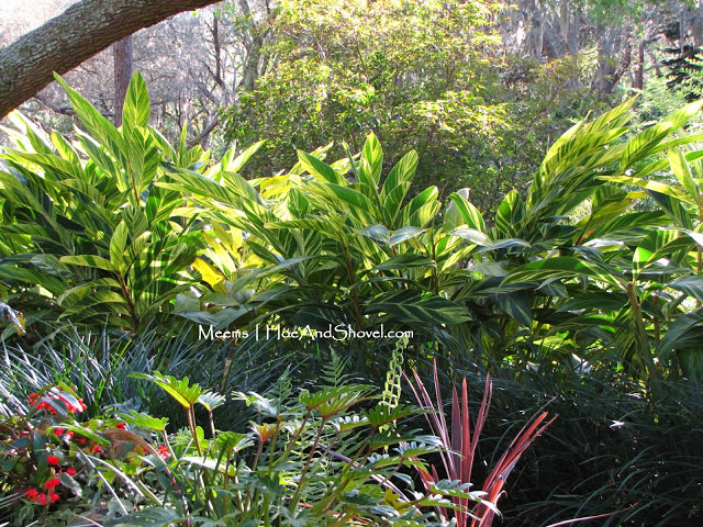 Ginger+Trim_0028066.jpg