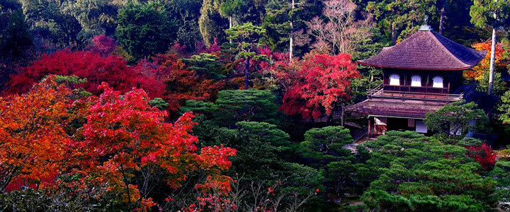 ginkakuji-temple-koyo.jpg