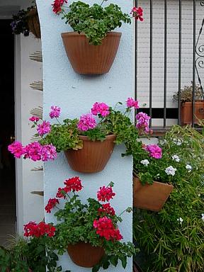 gitanillas05.JPG