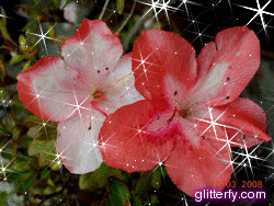 glitterfy214603150D38.gif