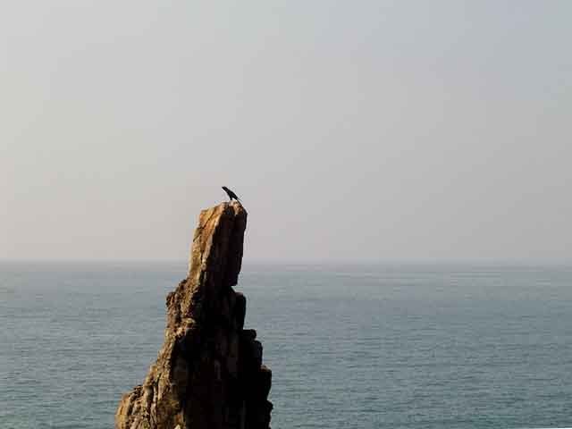goa3.jpg