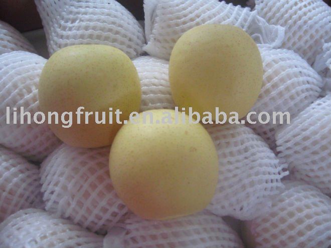 Gold_king_pear.jpg