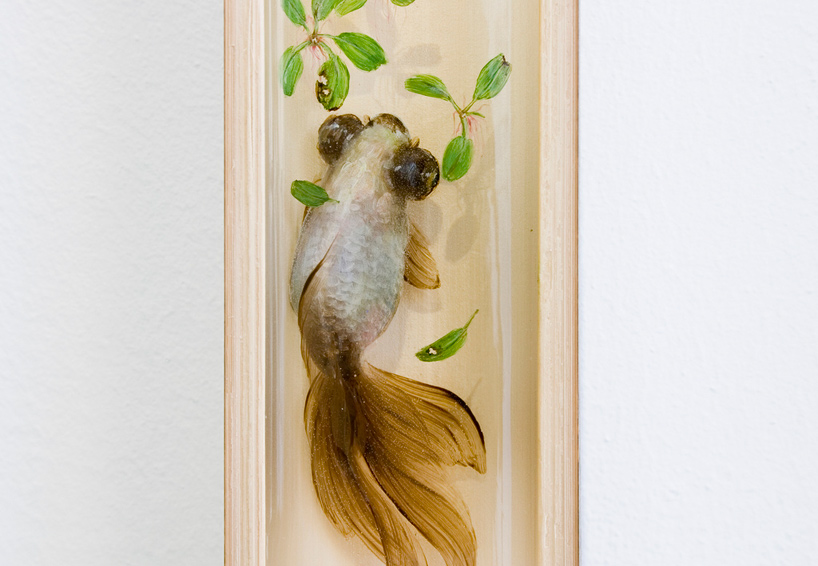 goldfish10.jpg