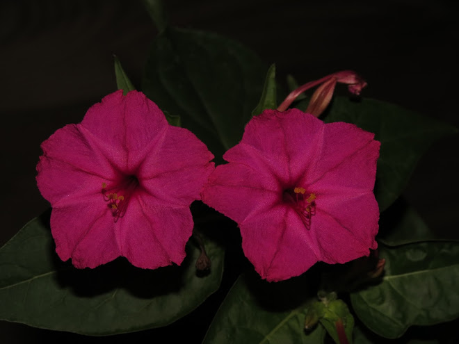 gpKB_eXZXiw56xZXQJ7oq0TkT82p820-moNEOEGAC5bC=w660-h495-no.jpg