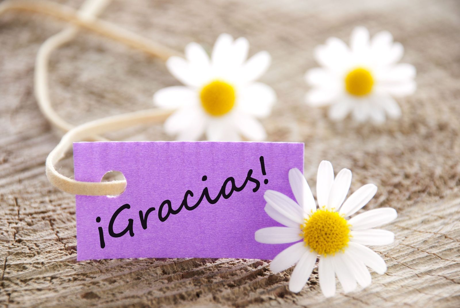 gracias3.jpg