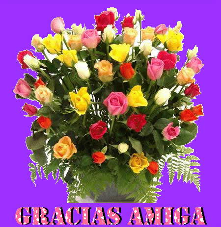 graciasamiga.gif