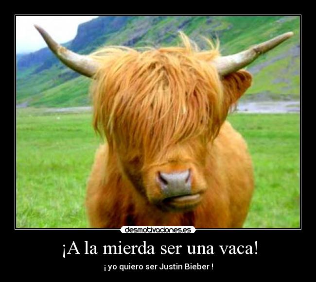 Graciosas_1009761853_rZKRZN60nBH8.jpg