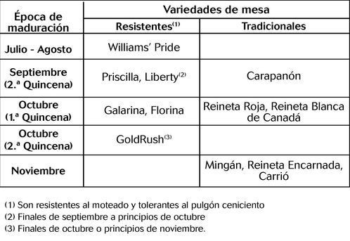 grafico.jpg