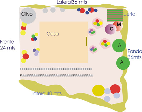 grafico2bajares.jpg