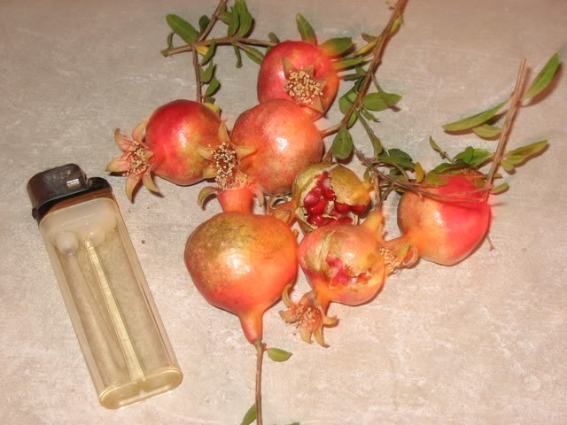 granado_273.jpg