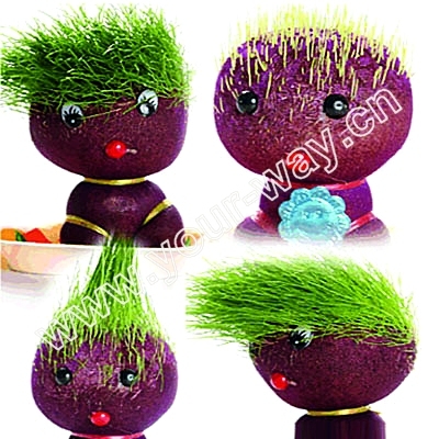Grass_Doll_Mini_Plant_Pet_Plant_Green_Grass_Can_Flower.jpg