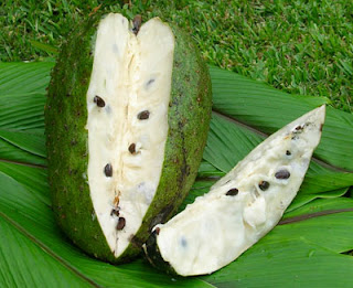 graviola1.jpg