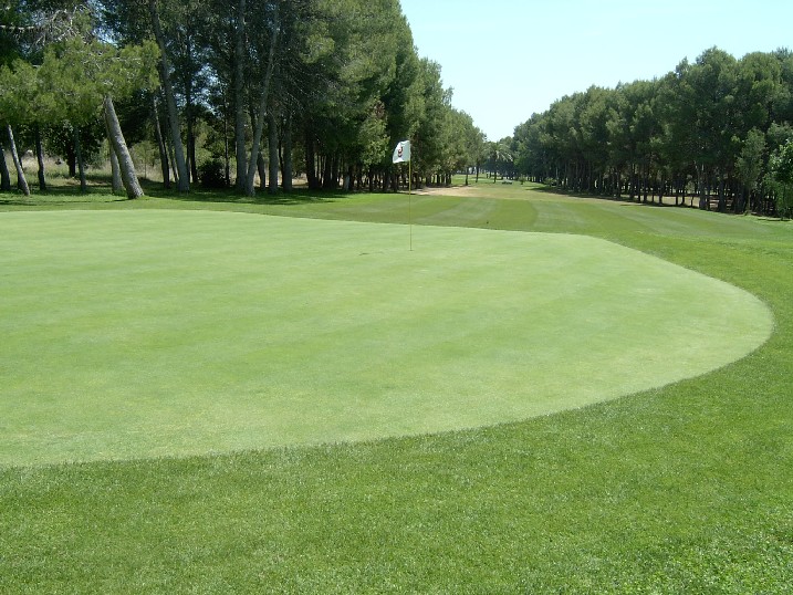 green%20y%20parte%20del%20recorrido%20del%20par9.jpg