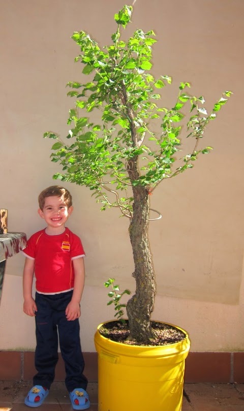 green10.jpg
