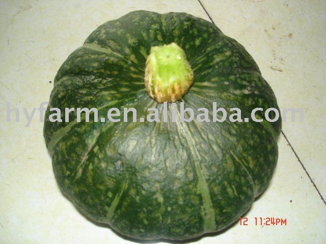 green_pumpkin.jpg