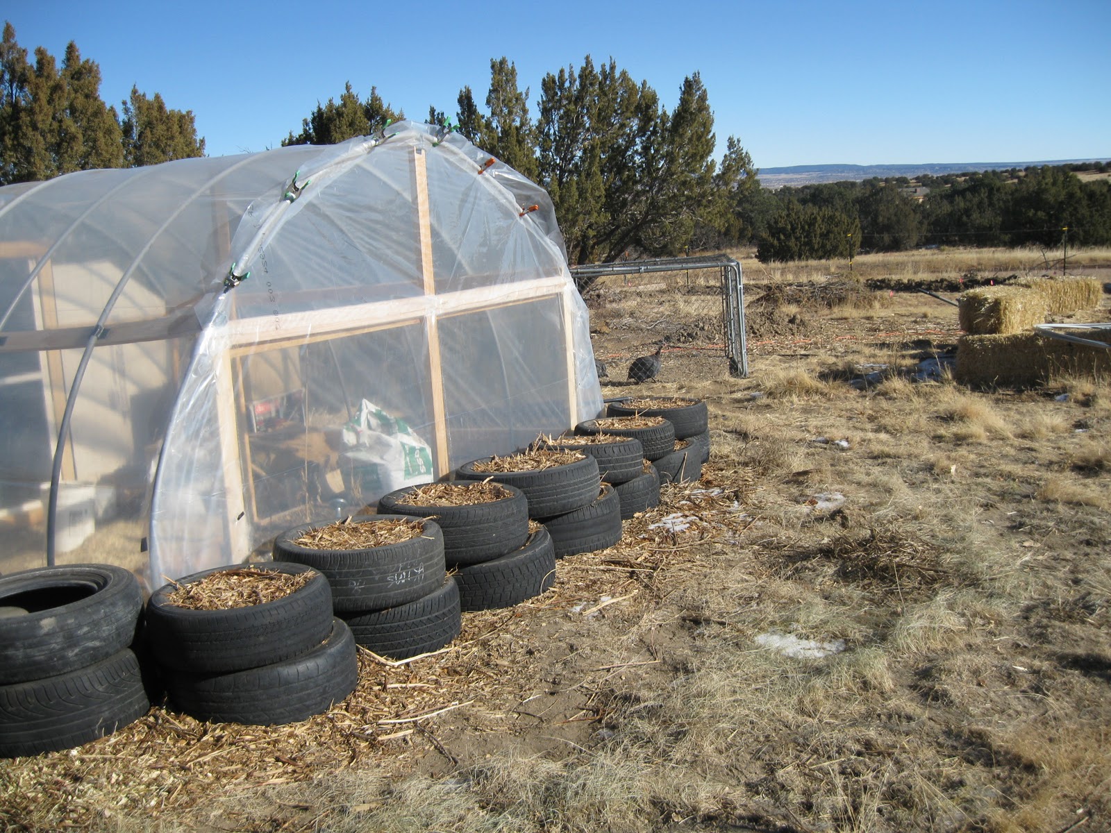 greenhouse+without+tire+wall+1-3-11.jpg