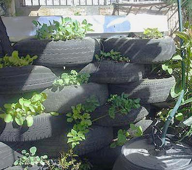 growing-strawberries-using-tires-02.jpg