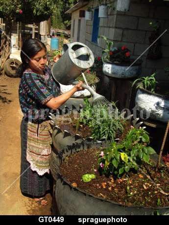 gt0449-Woman-watering-plants-which-are-growing-in-recycled-old-tires,-Guatemala.%7C17027.jpg