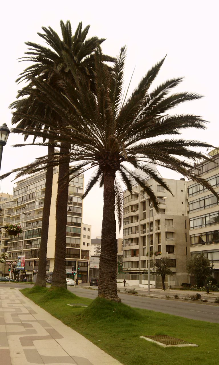 gTHOPOA.jpg