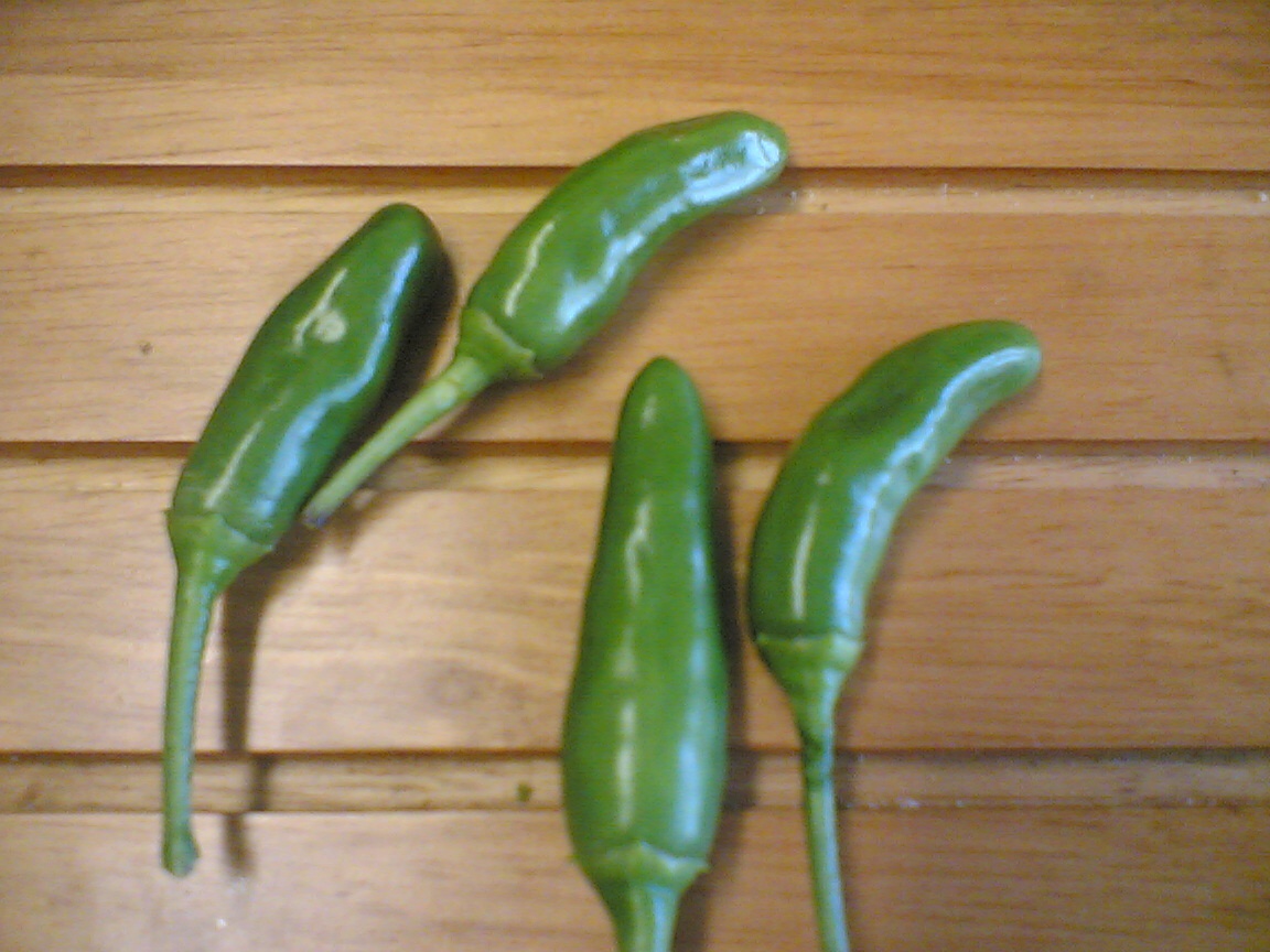 guindillas%20mas%20redondas.jpg
