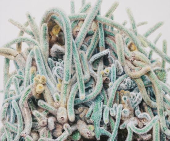 gwanho01_Cactus-No.47.jpg