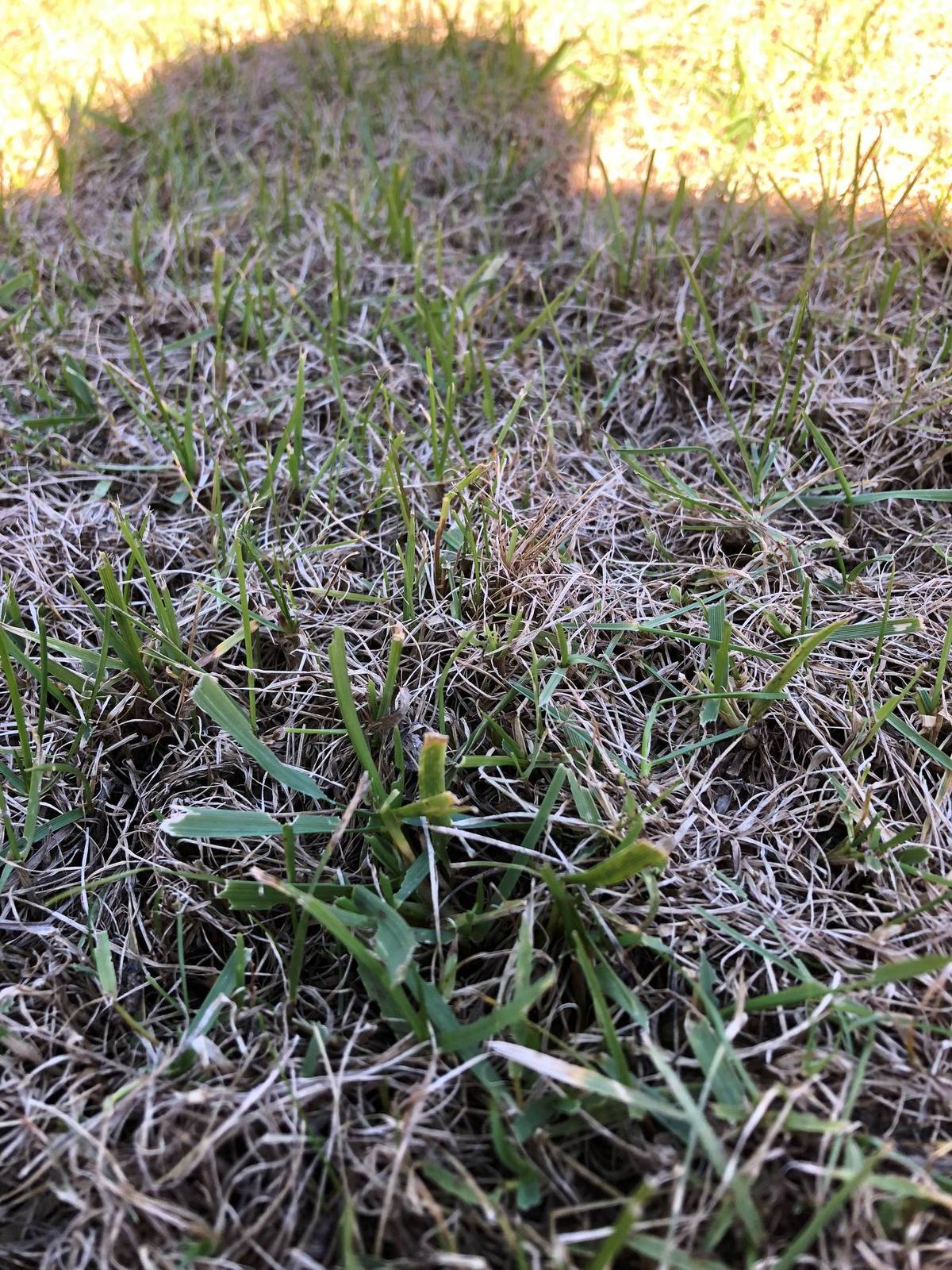 gwkTVU9.jpe