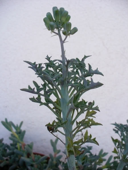 h108.jpg