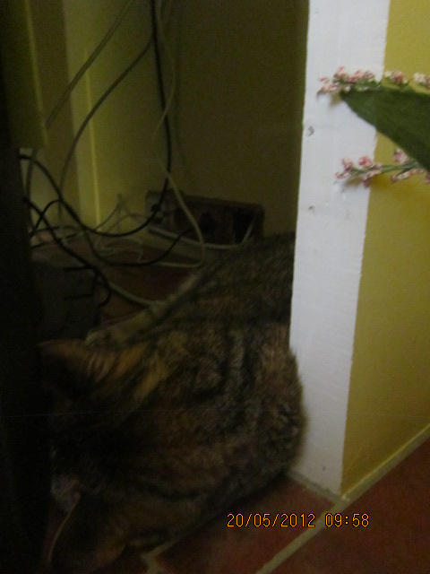 h5qIMG3266C5s.jpg