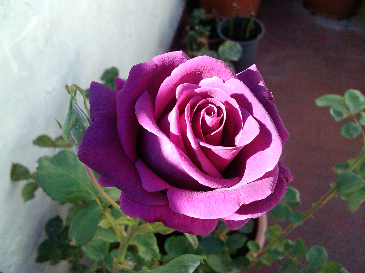 h789.jpg