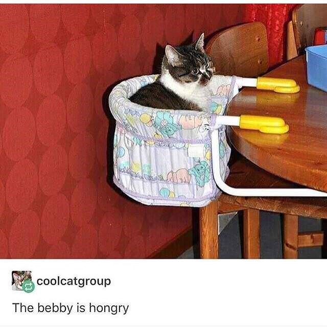 h88C4A682.jpg