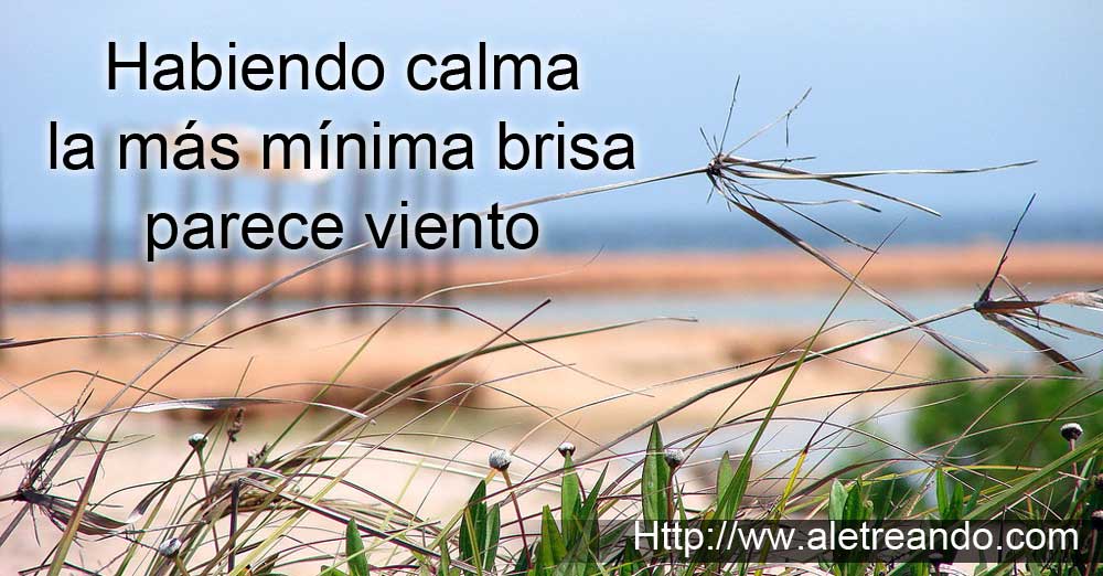 haiku_calma_minima_grande.jpg