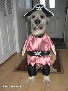 halloweenperro2.jpg