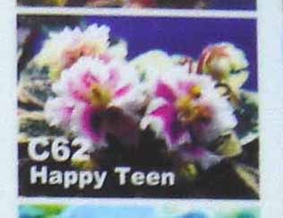 happy.jpg