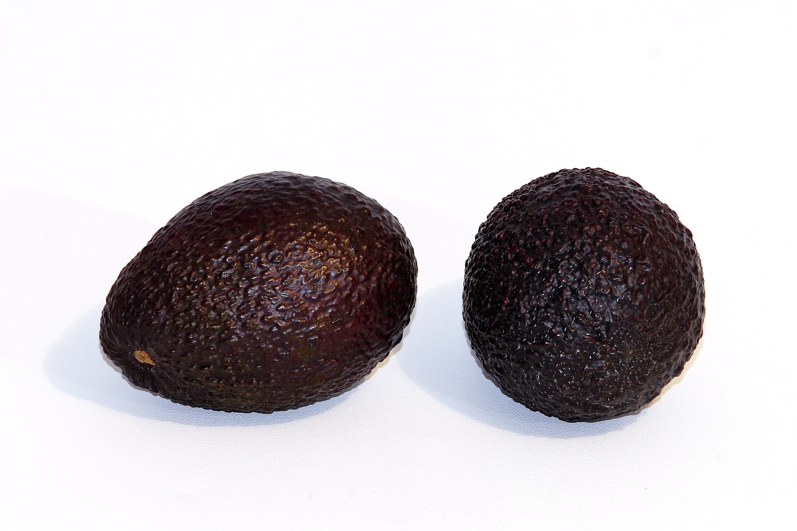 Hass_avocado_-white_background.jpg