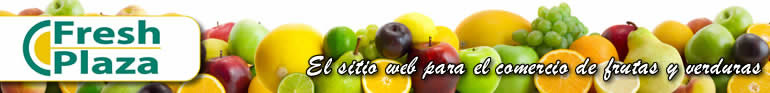header4.jpg