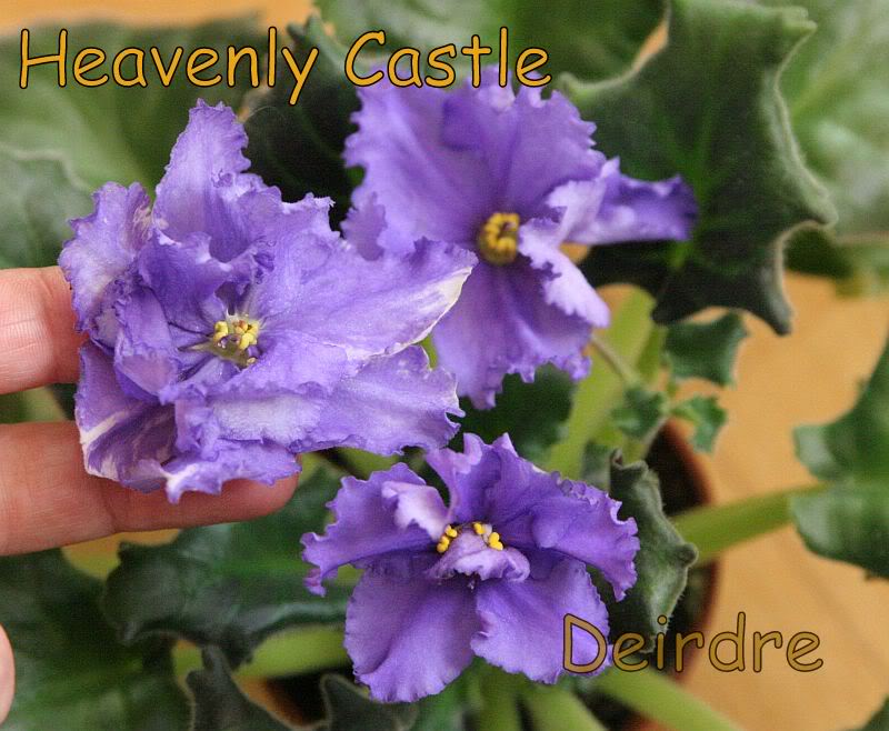 HeavenlyCastle08.jpg