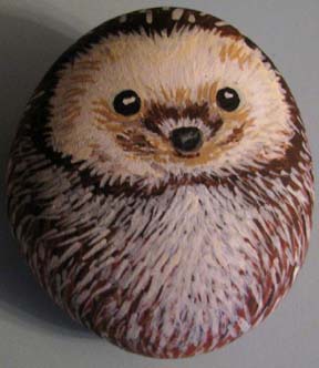 Hedgehog_1_t.jpg