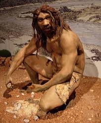 heidelbergensis.jpg
