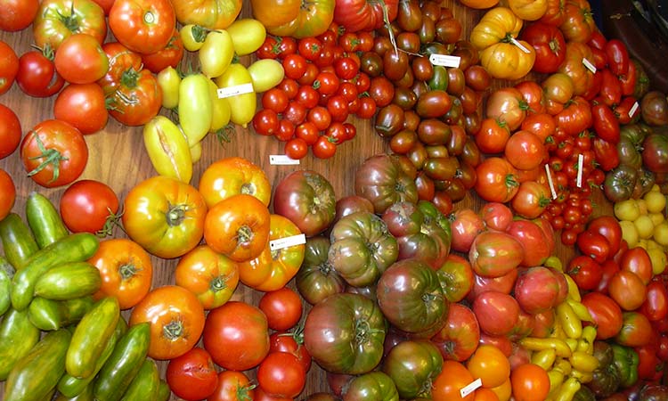 heirloom-tomatoes-6.jpg
