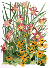 hemerocallis-rudbeckia.jpg