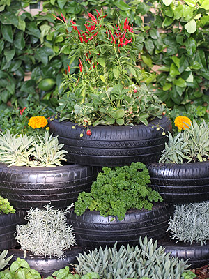HerbGarden.jpg
