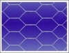 Hexagonal_Wire_Mesh_hexagon_wire_netting_chicken_v0.summ.jpg