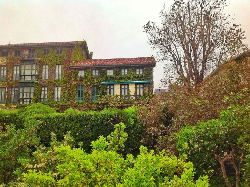 hiedra-casa-bahia.jpg